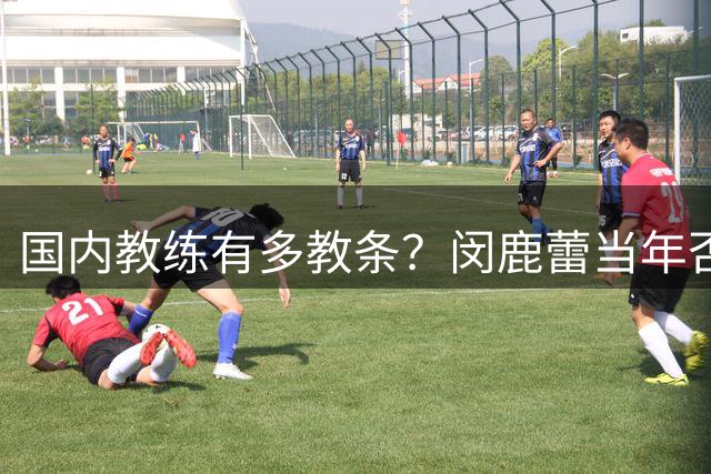 国内教练有多教条？闵鹿蕾当年否定库里，郭士强如今用废杨瀚森
