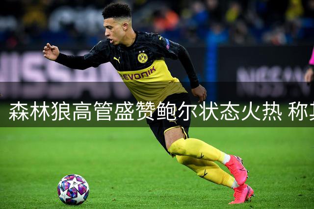 森林狼高管盛赞鲍尔状态火热 称其与爱德华兹球风互补