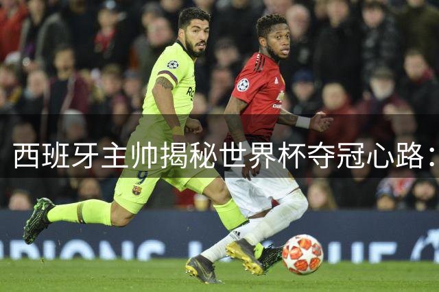 西班牙主帅揭秘世界杯夺冠心路：团队精神铸就传奇之路