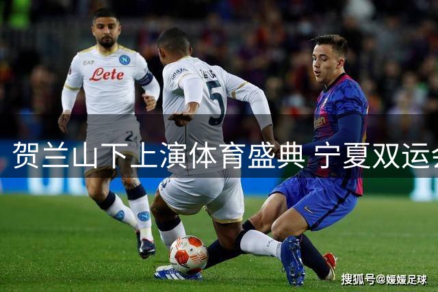 贺兰山下上演体育盛典 宁夏双运会璀璨启幕