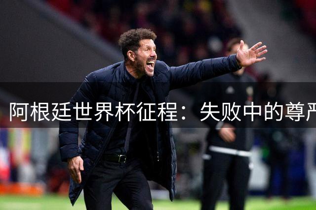 阿根廷世界杯征程：失败中的尊严与团结力量